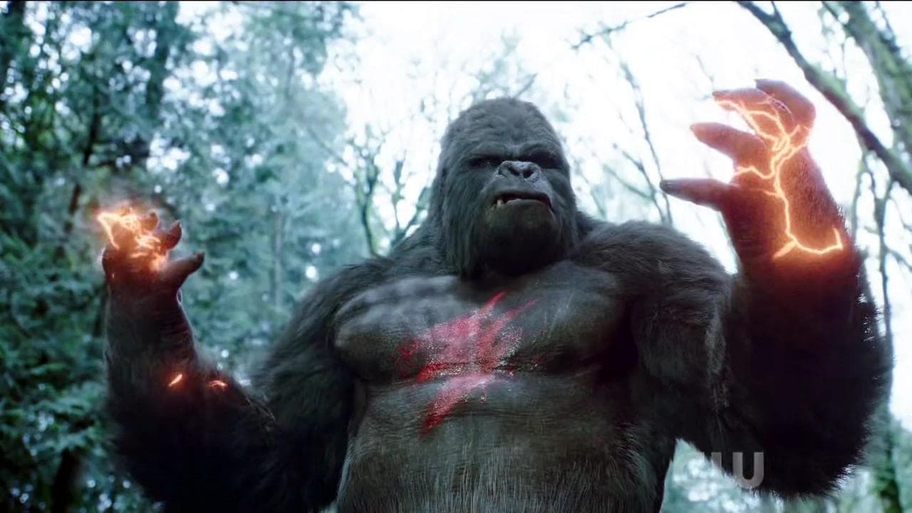 The People v. Gorilla Grodd: HBO Max encomenda série de Jimmy Olsen e revela elenco completo